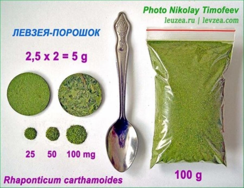 �e���� c ����c���o�o� o� �po���o���e�� ��po���