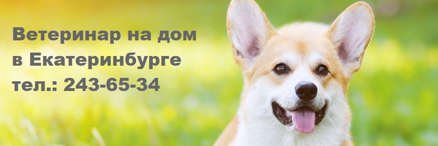������������ ������� �� ��� � �������������