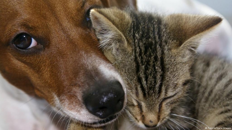 ����� ��� ��������� ��������
