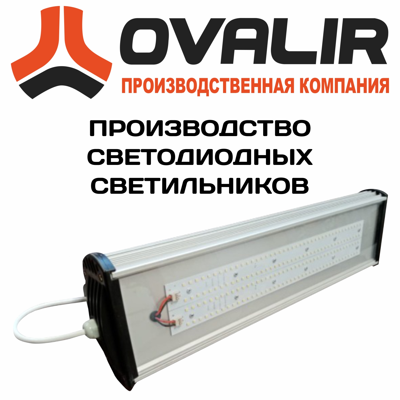 ������������ ������������ ������������