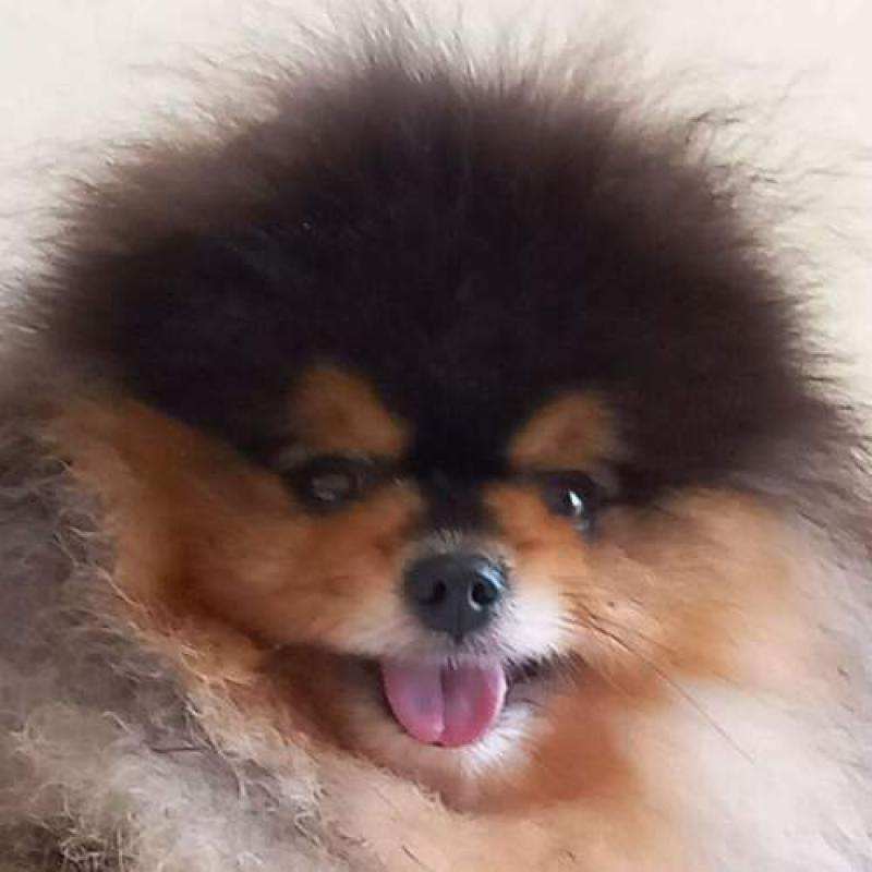 ����� �����