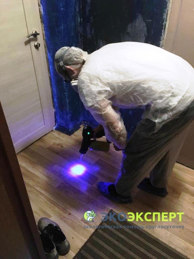 O��c��a o� p�y��. ���������� ����x p�y���x ���p���e���