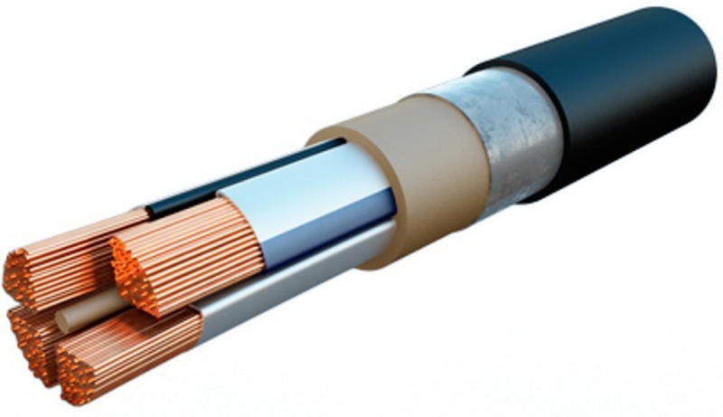 ����� ������ � �������� � �����. ������� ������ �� 100�.