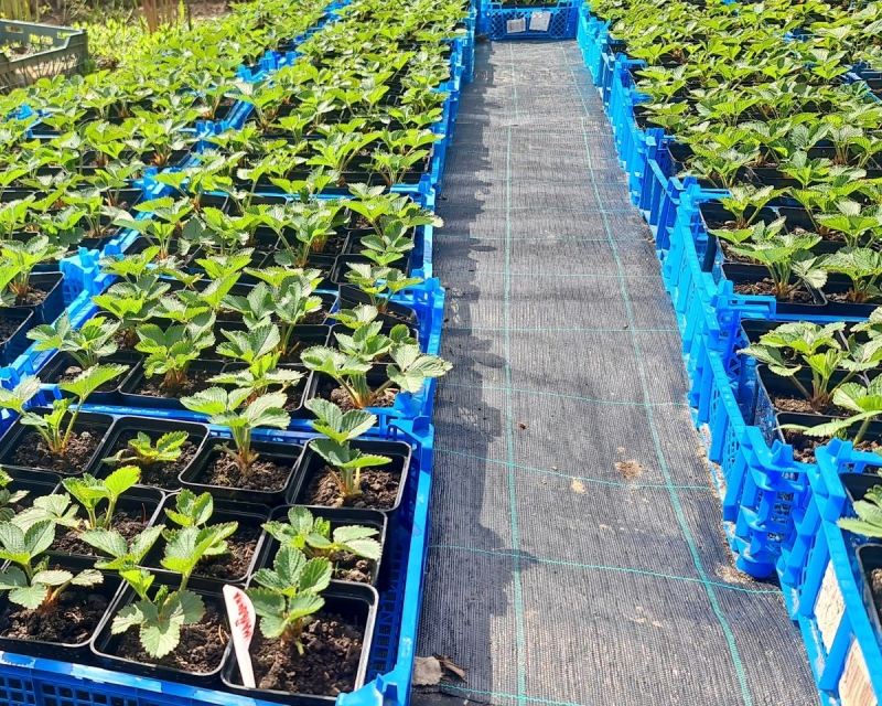 �������� �������������� �������� ���������, ������, ����. � �������