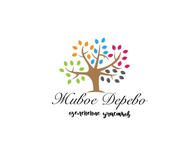 O�e���e��e �epp��o��� �o�a��a ��y����e��� � �ap������ ������ae�oc��