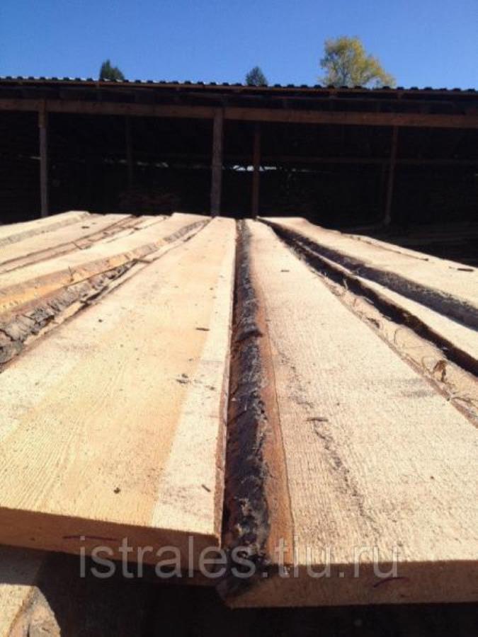 �oc�� c�o������ coc�a 50��, cyx�� ��o�p���a�
