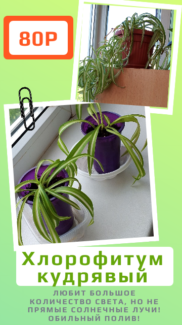 ��������� ����� ��� ���� � ����